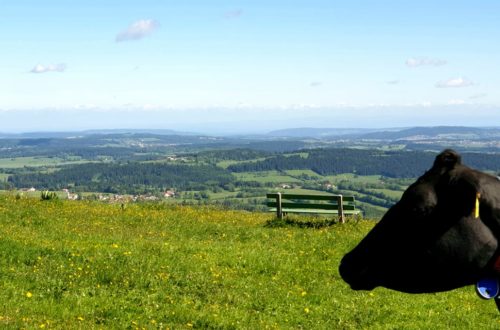 Suisse : Panorama sommet de Pouillerel, banc et tête de vache.