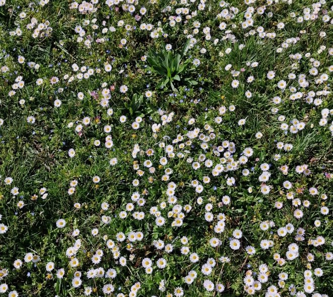 Ménage de printemps !